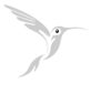 No.Motion Photography